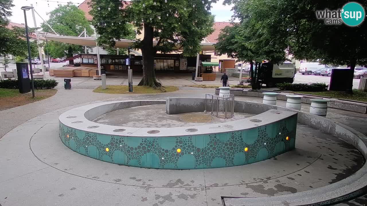 Fontaine à bière LIVE webcam – Or vert – Žalec