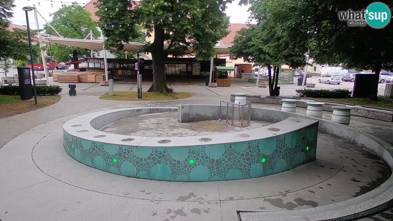 Camera en vivo Fuente de cerveza – Oro verde – Žalec