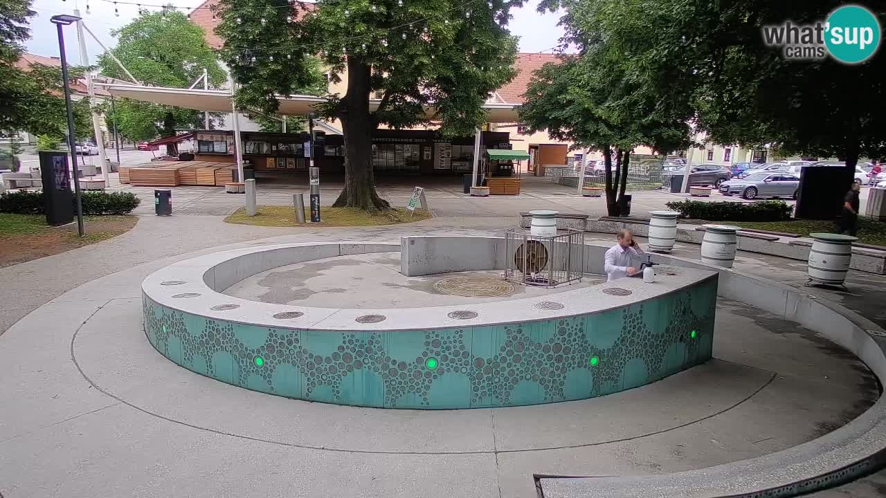 Fontana di birra Webcam – Oro verde – Žalec