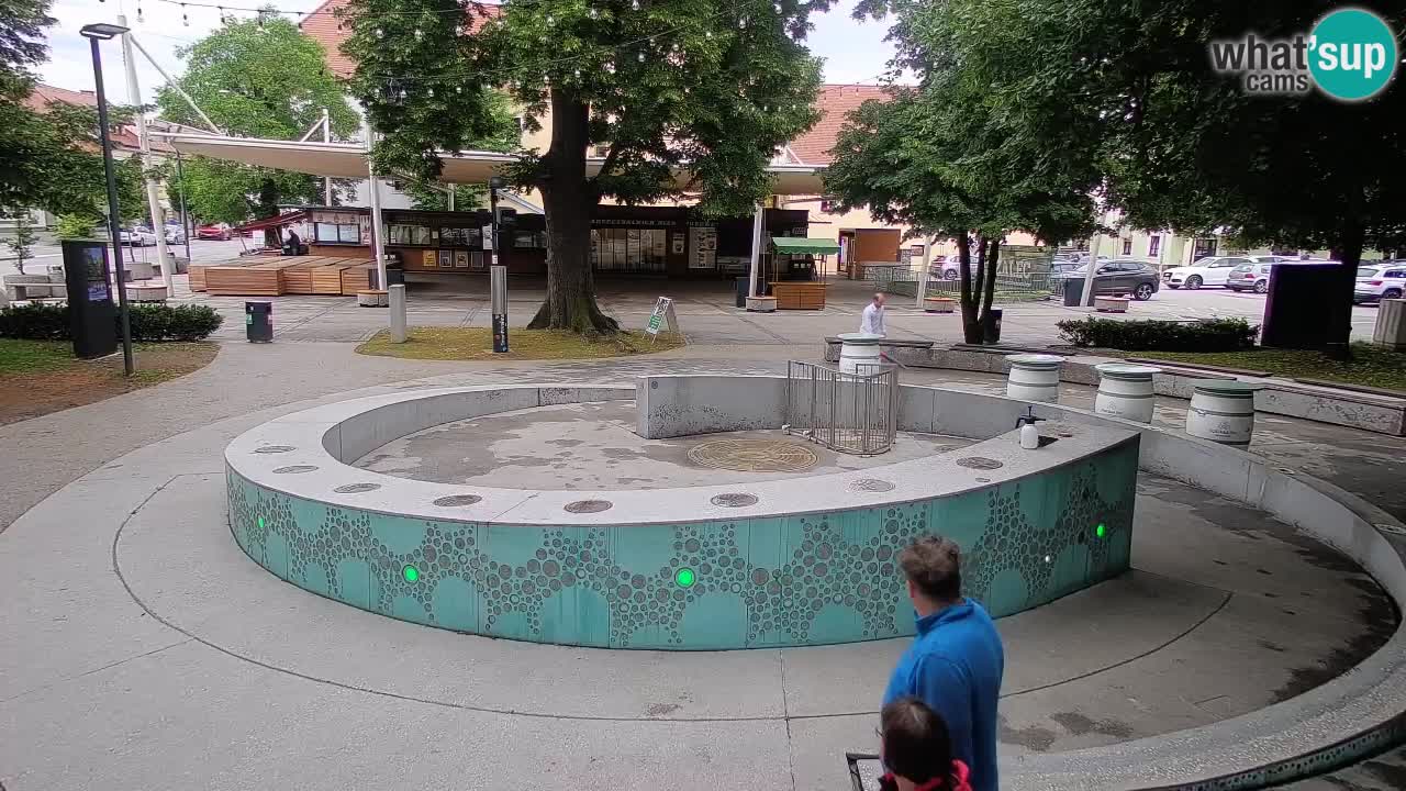 Fontaine à bière LIVE webcam – Or vert – Žalec
