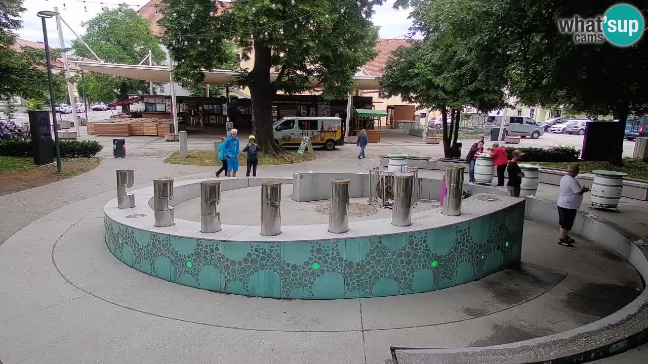Web kamera Fontana piva – Zeleno zlato – Žalec