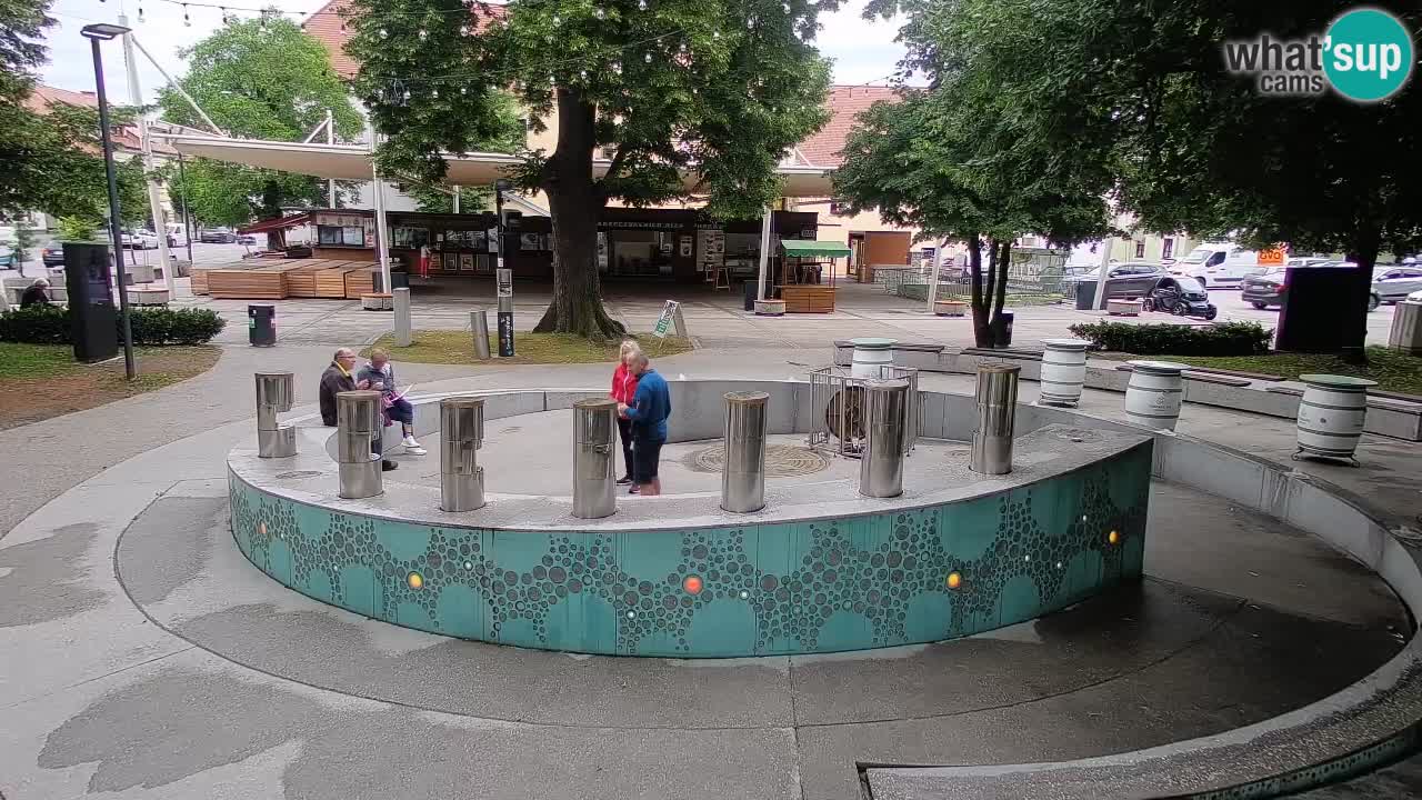Bier-Springbrunnen Webcam Žalec – Grünen Goldes