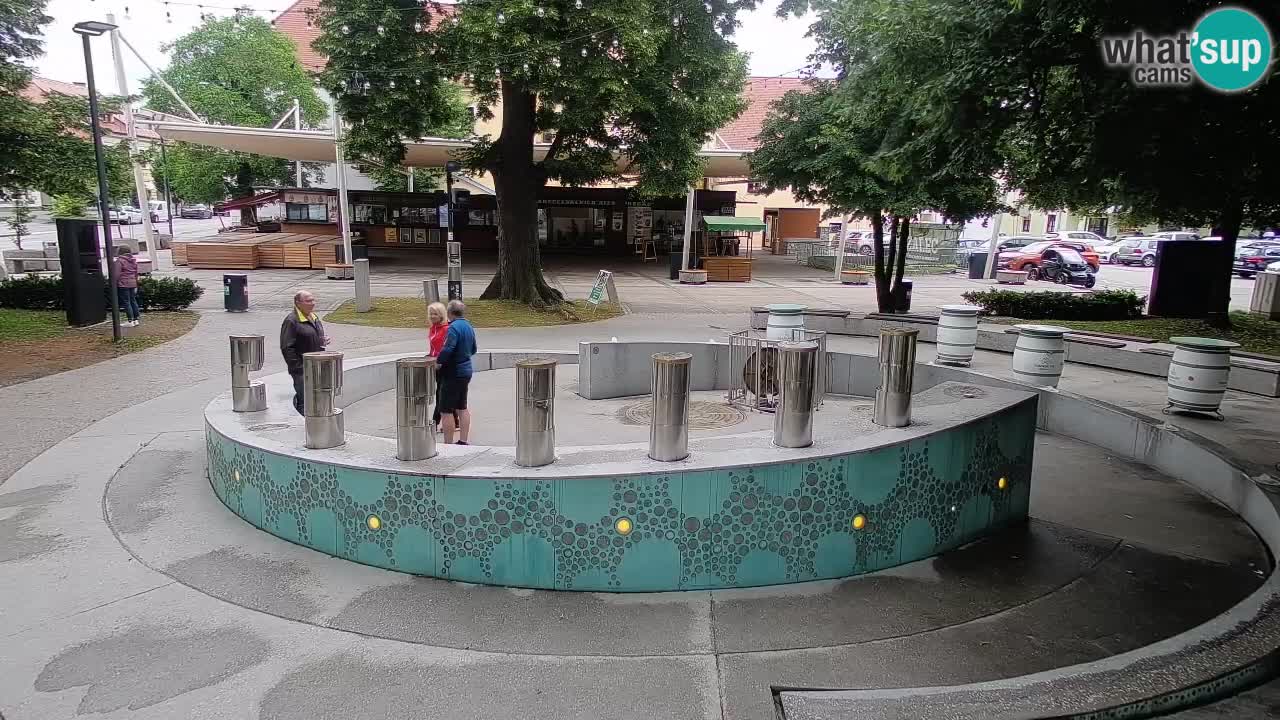 Camera en vivo Fuente de cerveza – Oro verde – Žalec