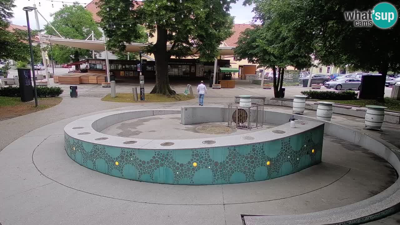 Web kamera Fontana piva – Zeleno zlato – Žalec