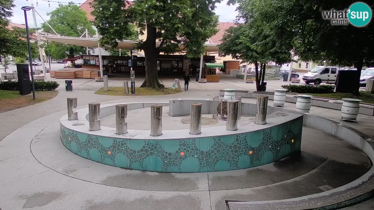 Camera en vivo Fuente de cerveza – Oro verde – Žalec