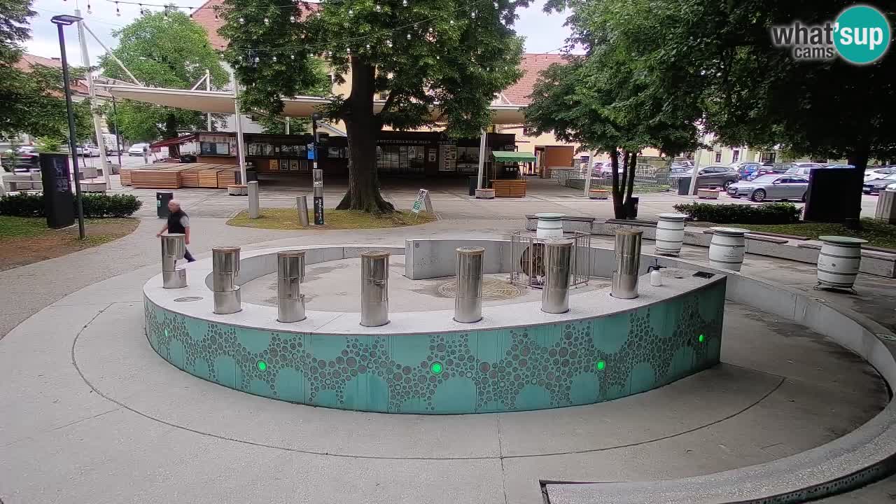 Bier-Springbrunnen Webcam Žalec – Grünen Goldes