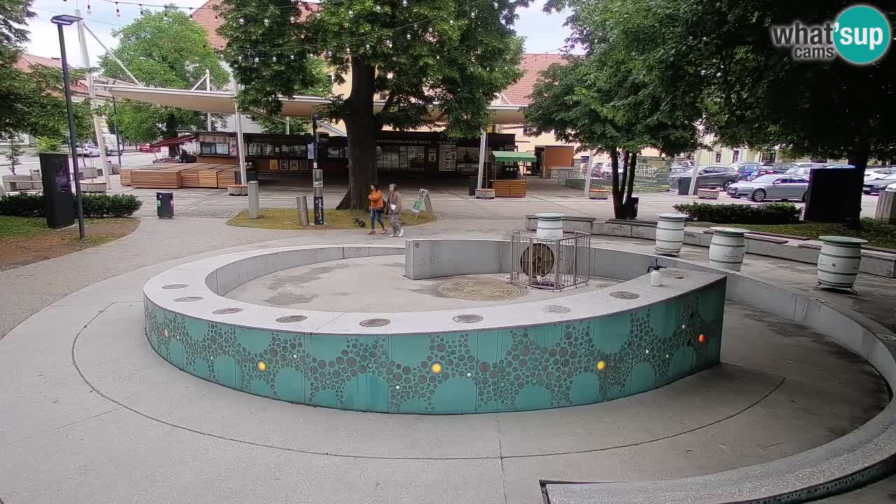 Web kamera Fontana piva – Zeleno zlato – Žalec