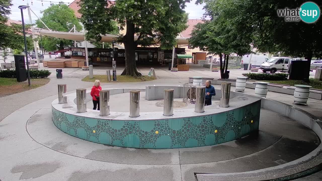 Bier-Springbrunnen Webcam Žalec – Grünen Goldes