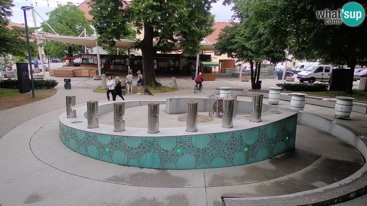 Bier-Springbrunnen Webcam Žalec – Grünen Goldes