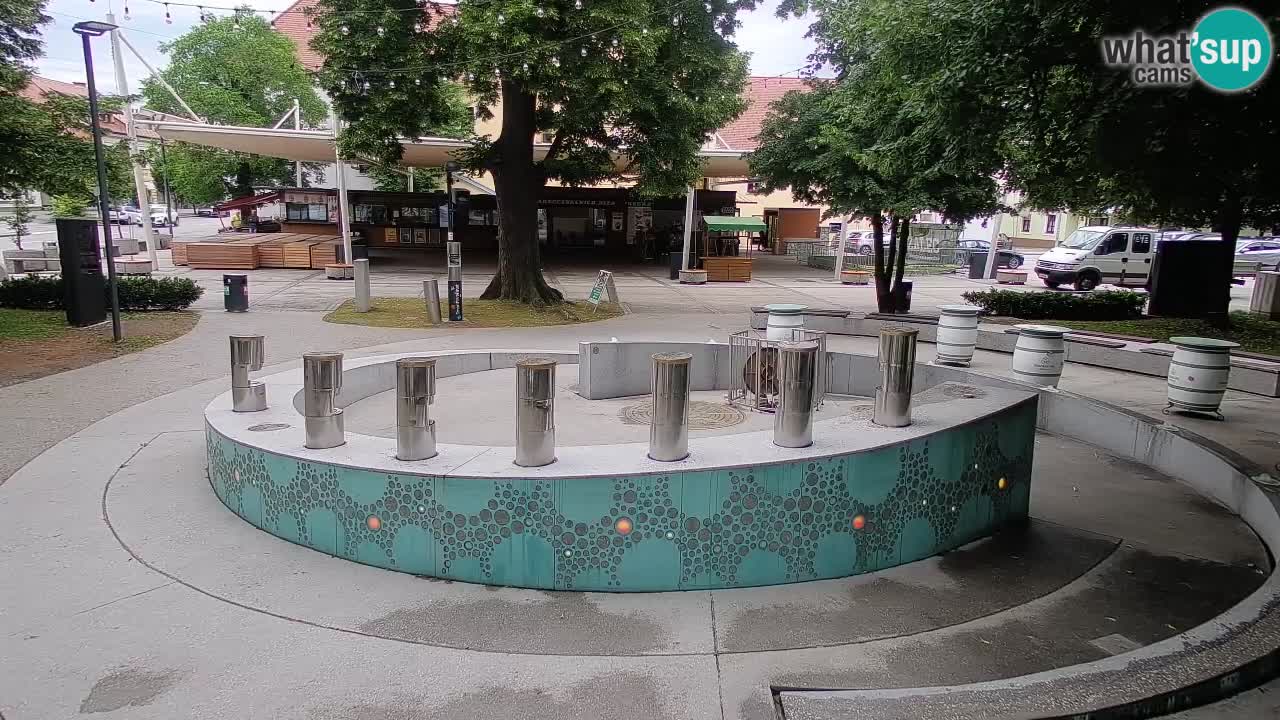 Web kamera Fontana piva – Zeleno zlato – Žalec