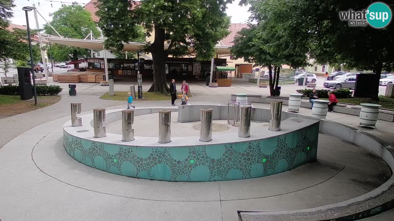Web kamera Fontana piva – Zeleno zlato – Žalec