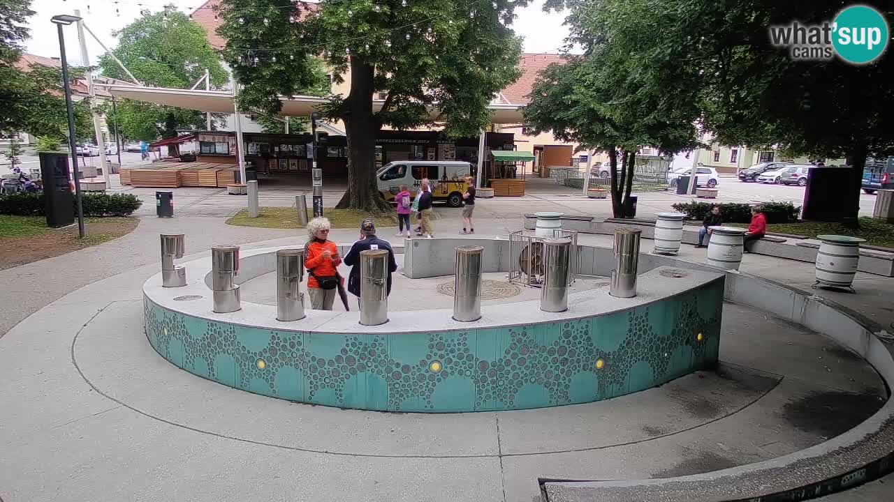 Fontaine à bière LIVE webcam – Or vert – Žalec