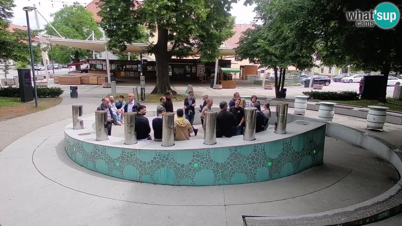 Bier-Springbrunnen Webcam Žalec – Grünen Goldes