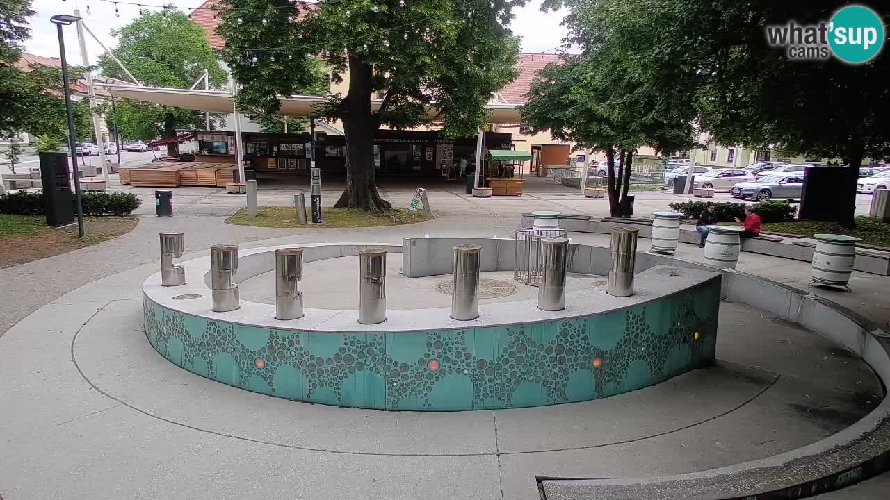 Fontana di birra Webcam – Oro verde – Žalec