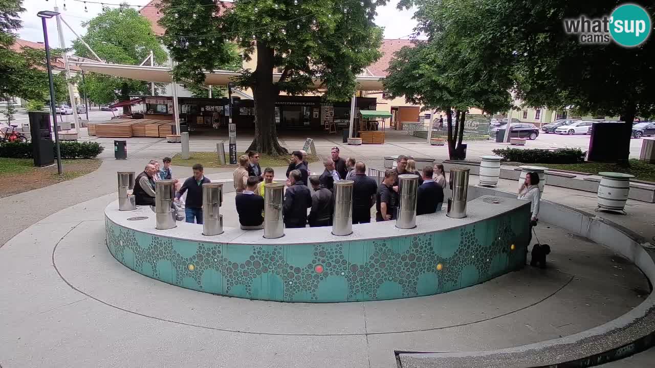 Bier-Springbrunnen Webcam Žalec – Grünen Goldes