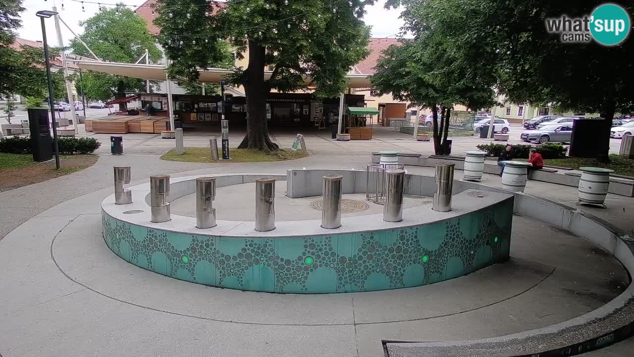 Web kamera Fontana piva – Zeleno zlato – Žalec