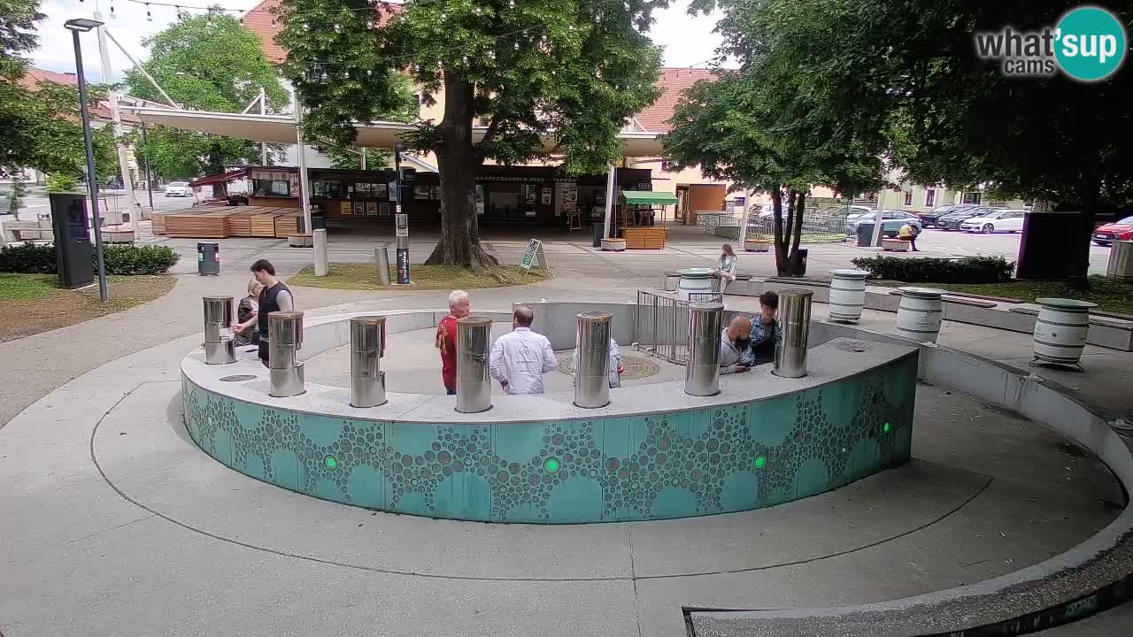 Web kamera Fontana piva – Zeleno zlato – Žalec