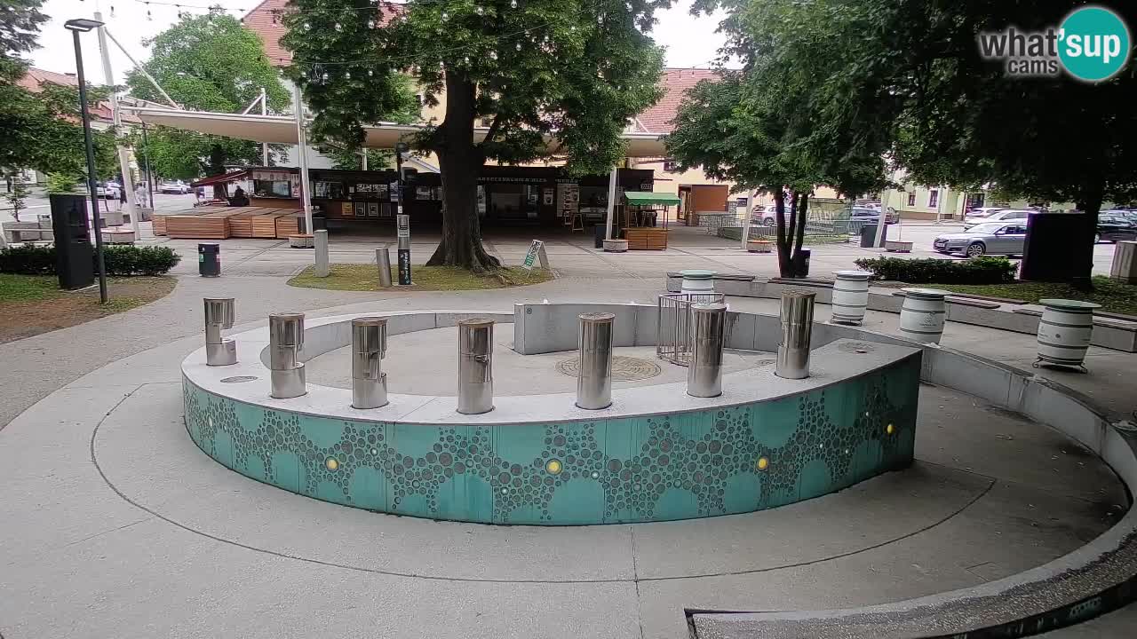 Web kamera Fontana piva – Zeleno zlato – Žalec
