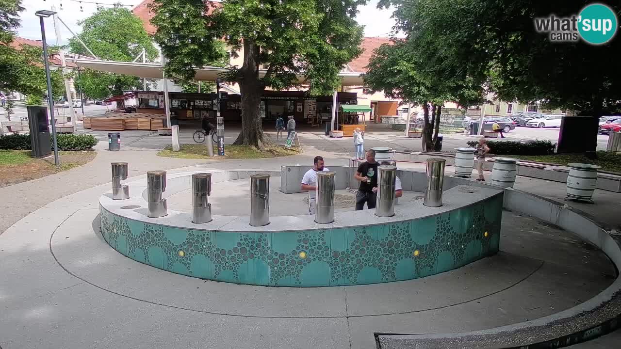 Fontana di birra Webcam – Oro verde – Žalec