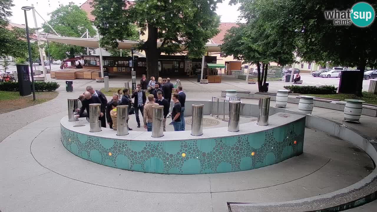 Spletna kamera Fontana Piv – Zeleno zlato Žalec