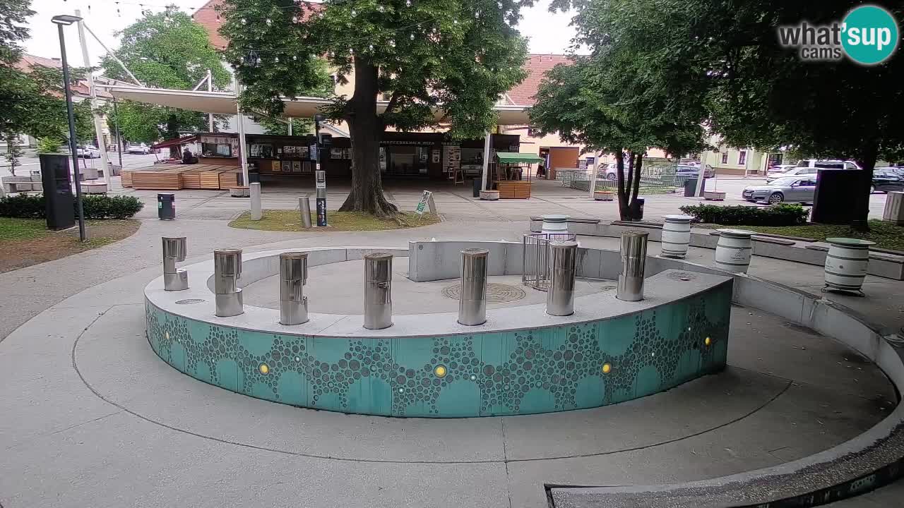 Web kamera Fontana piva – Zeleno zlato – Žalec