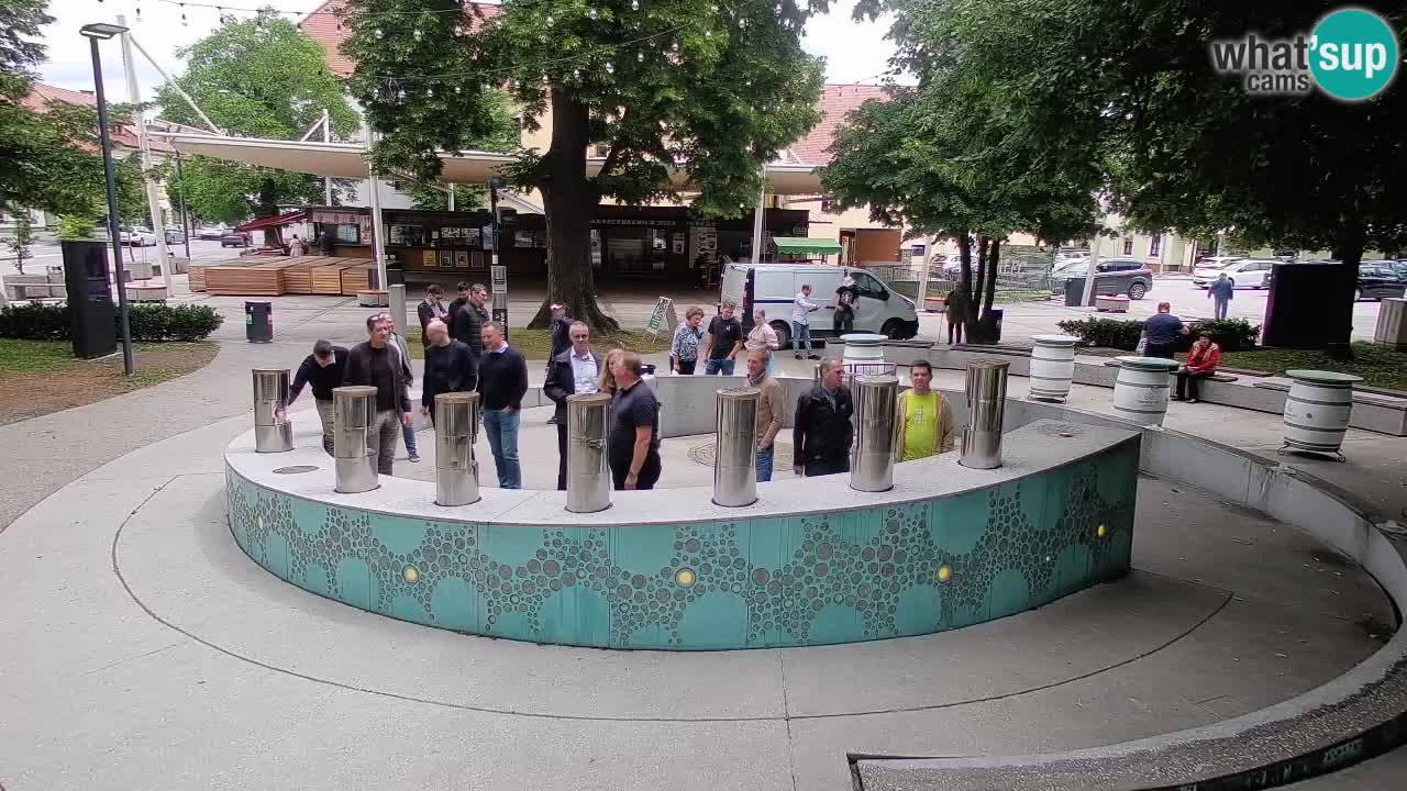 Fontaine à bière LIVE webcam – Or vert – Žalec