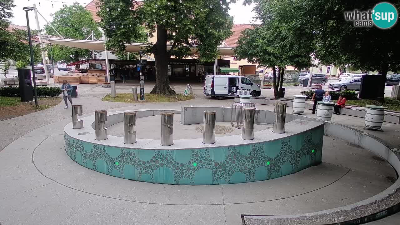 Web kamera Fontana piva – Zeleno zlato – Žalec