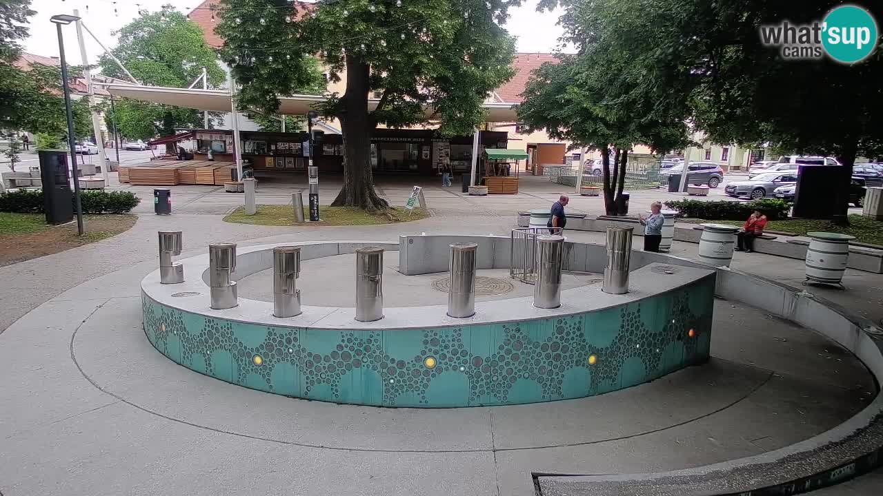 Fontaine à bière LIVE webcam – Or vert – Žalec