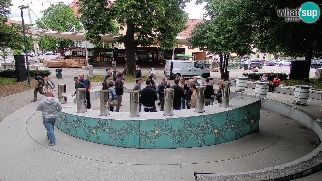 Fontaine à bière LIVE webcam – Or vert – Žalec