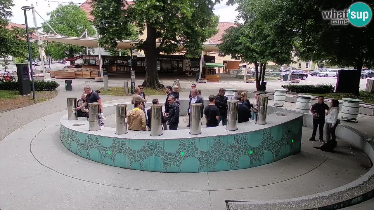 Bier-Springbrunnen Webcam Žalec – Grünen Goldes