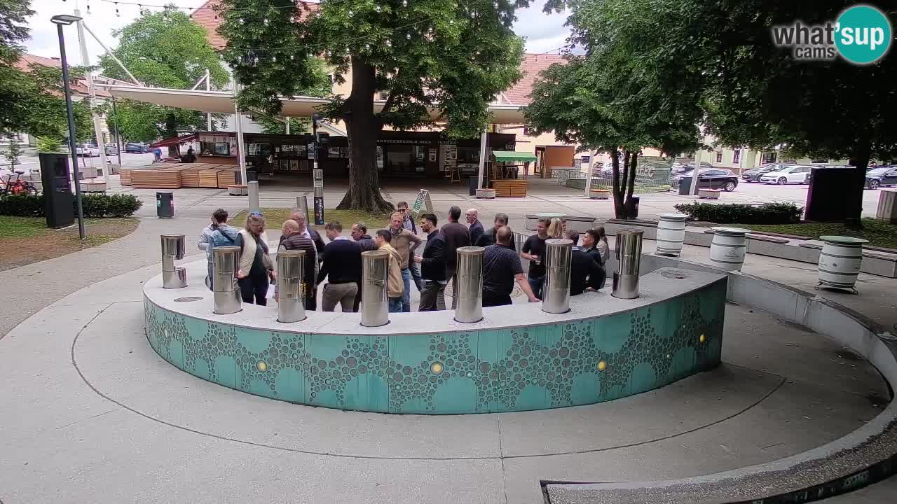 Bier-Springbrunnen Webcam Žalec – Grünen Goldes