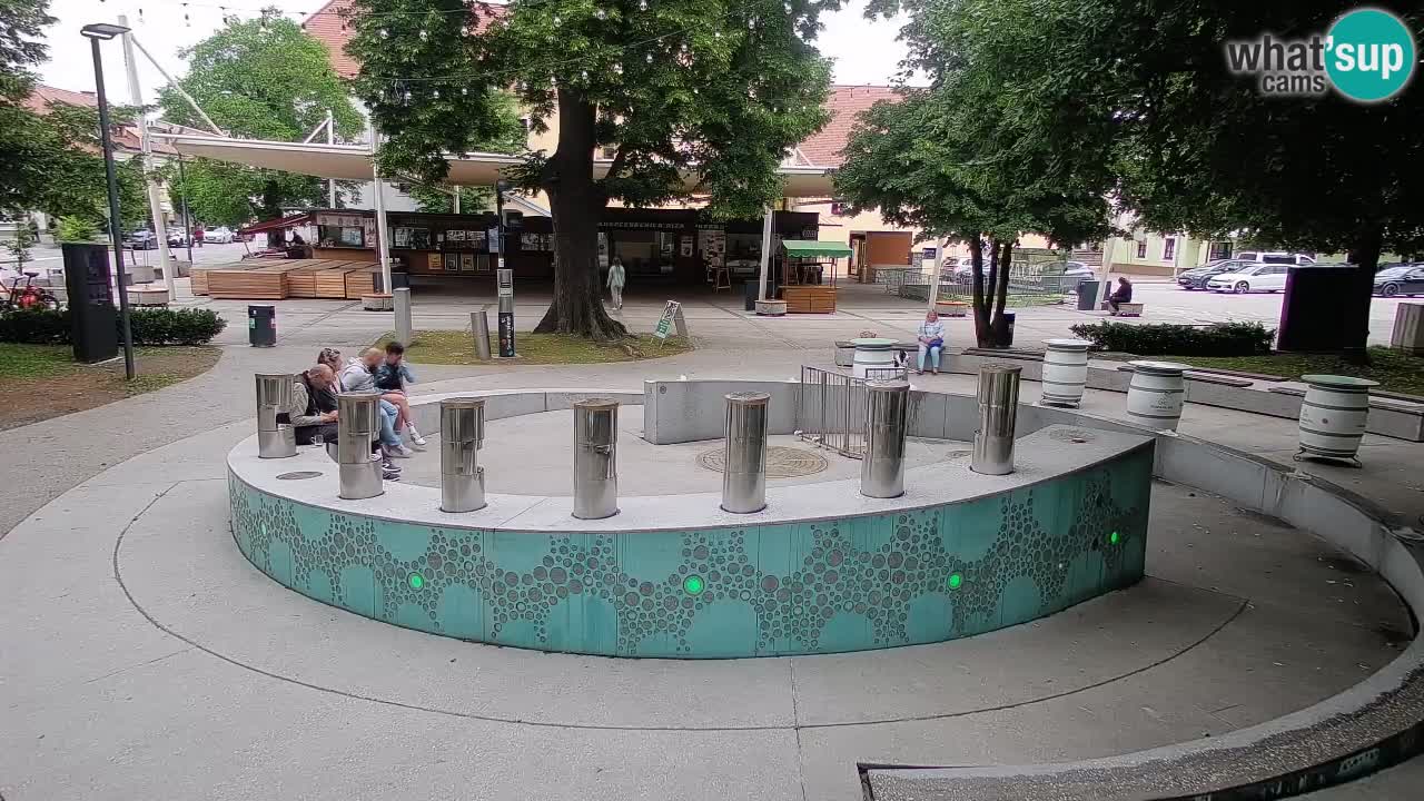 Web kamera Fontana piva – Zeleno zlato – Žalec