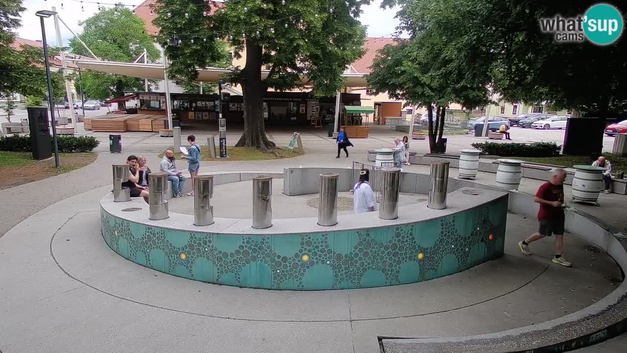Camera en vivo Fuente de cerveza – Oro verde – Žalec