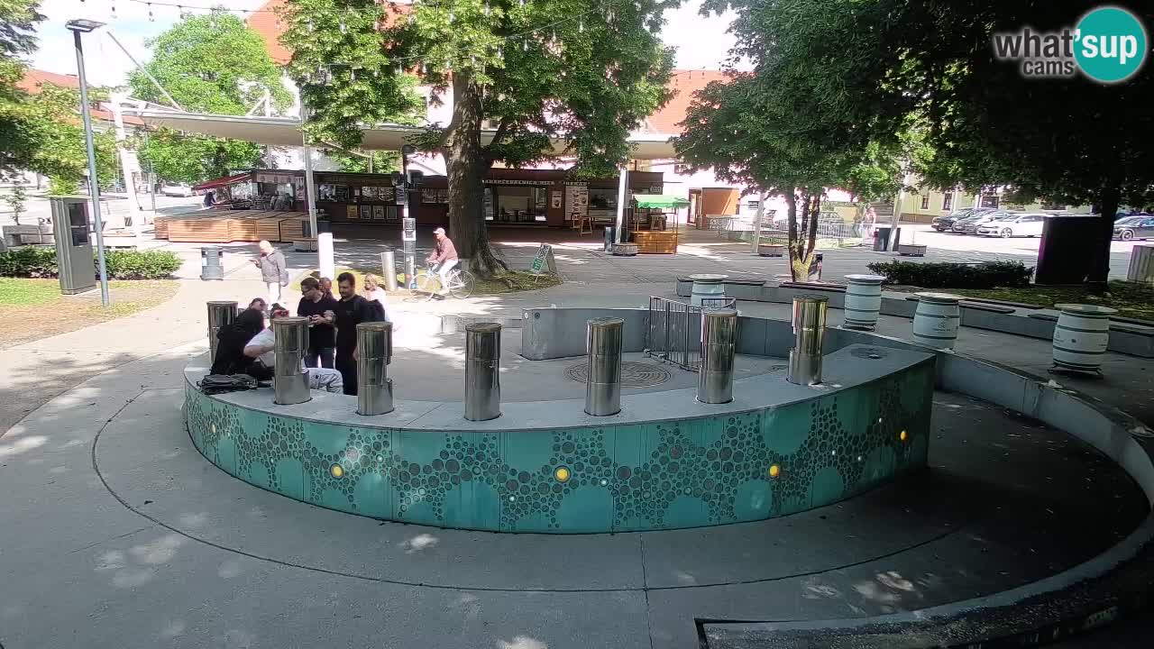 Bier-Springbrunnen Webcam Žalec – Grünen Goldes