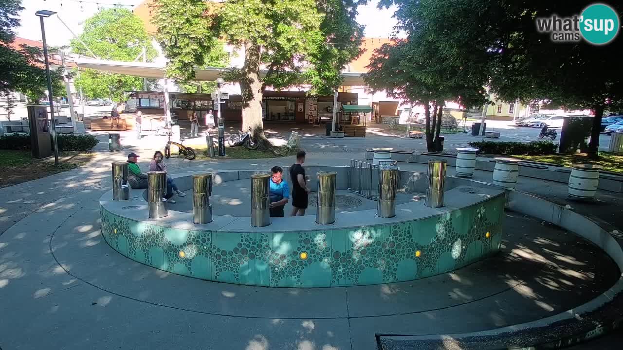 Fontaine à bière LIVE webcam – Or vert – Žalec