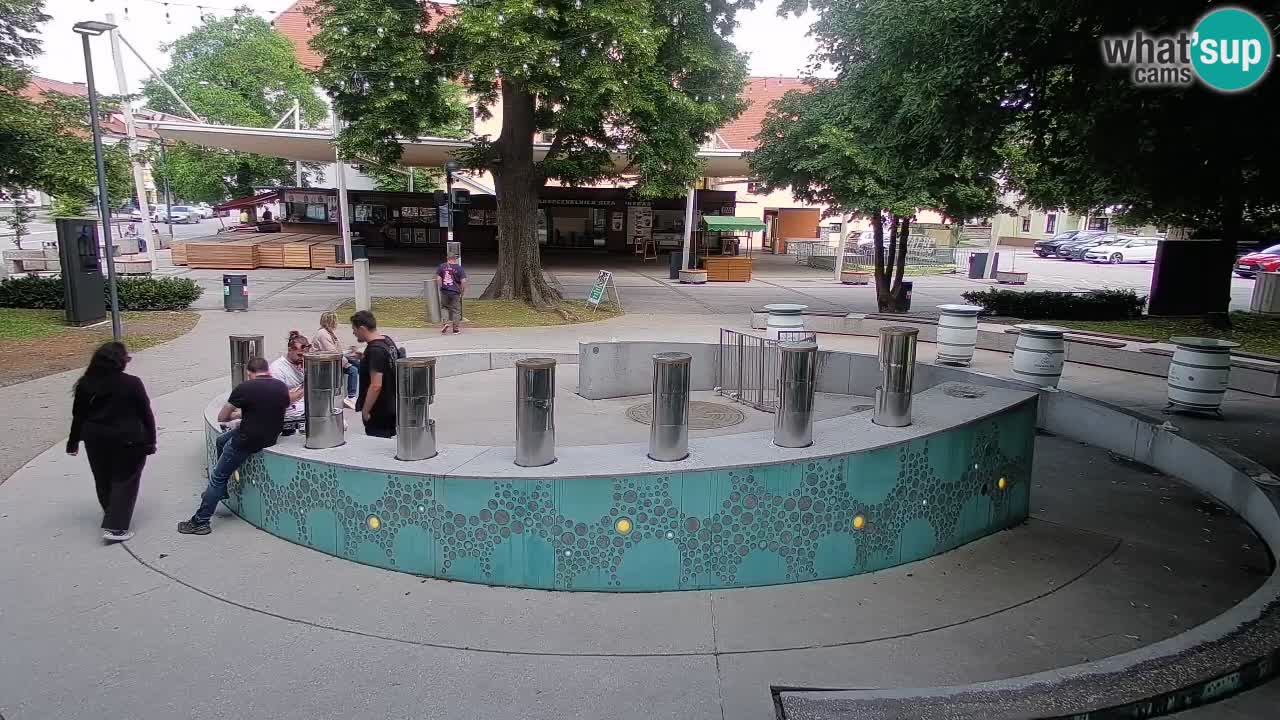 Spletna kamera Fontana Piv – Zeleno zlato Žalec
