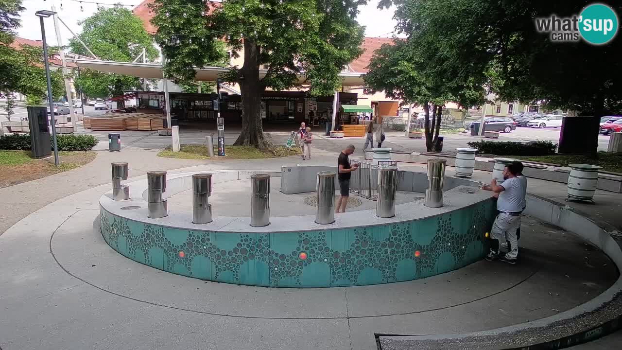 Bier-Springbrunnen Webcam Žalec – Grünen Goldes