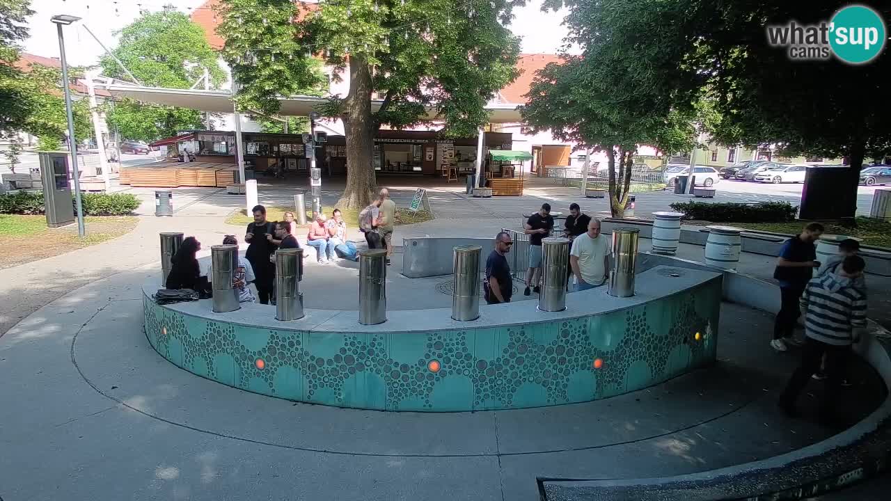 Fontana di birra Webcam – Oro verde – Žalec