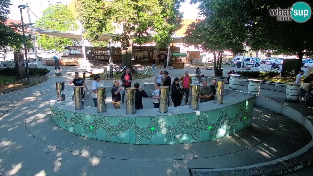 Fontaine à bière LIVE webcam – Or vert – Žalec