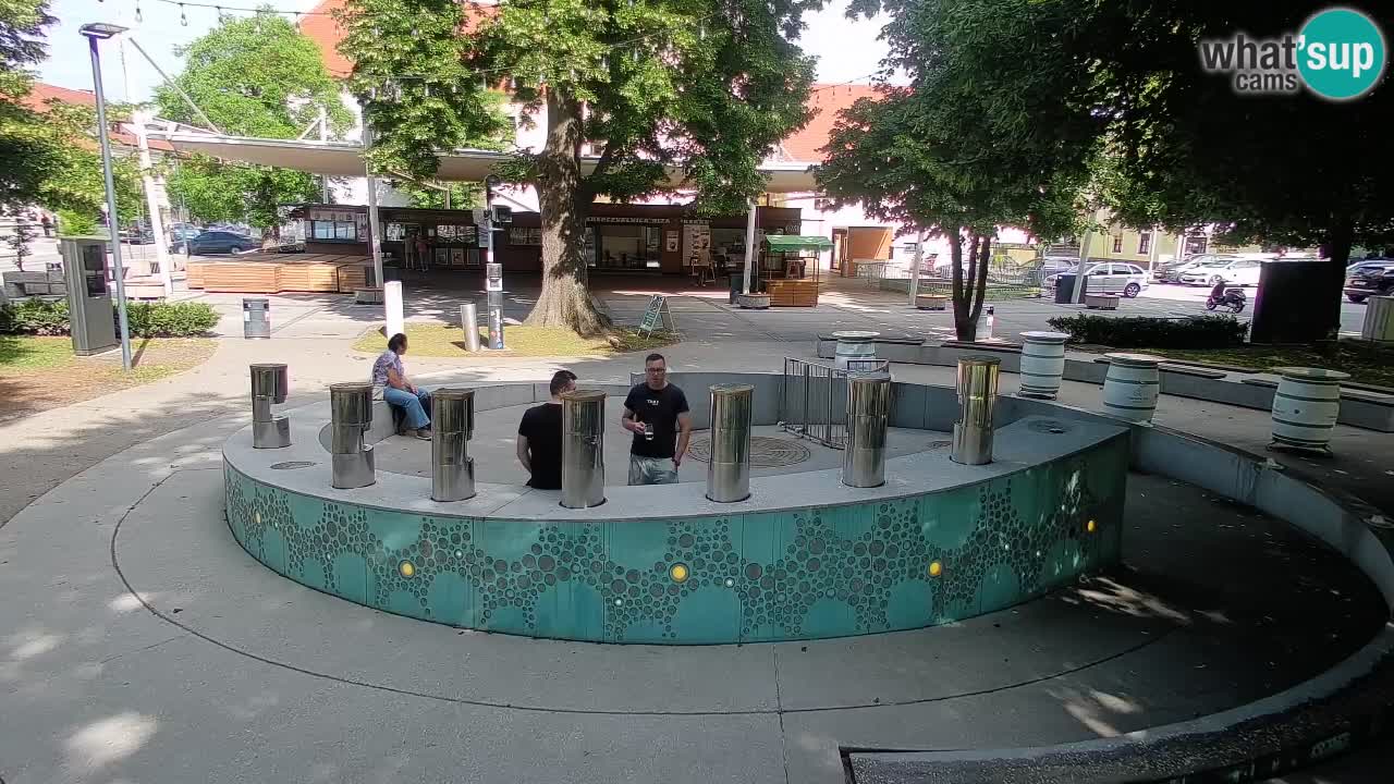 Bier-Springbrunnen Webcam Žalec – Grünen Goldes