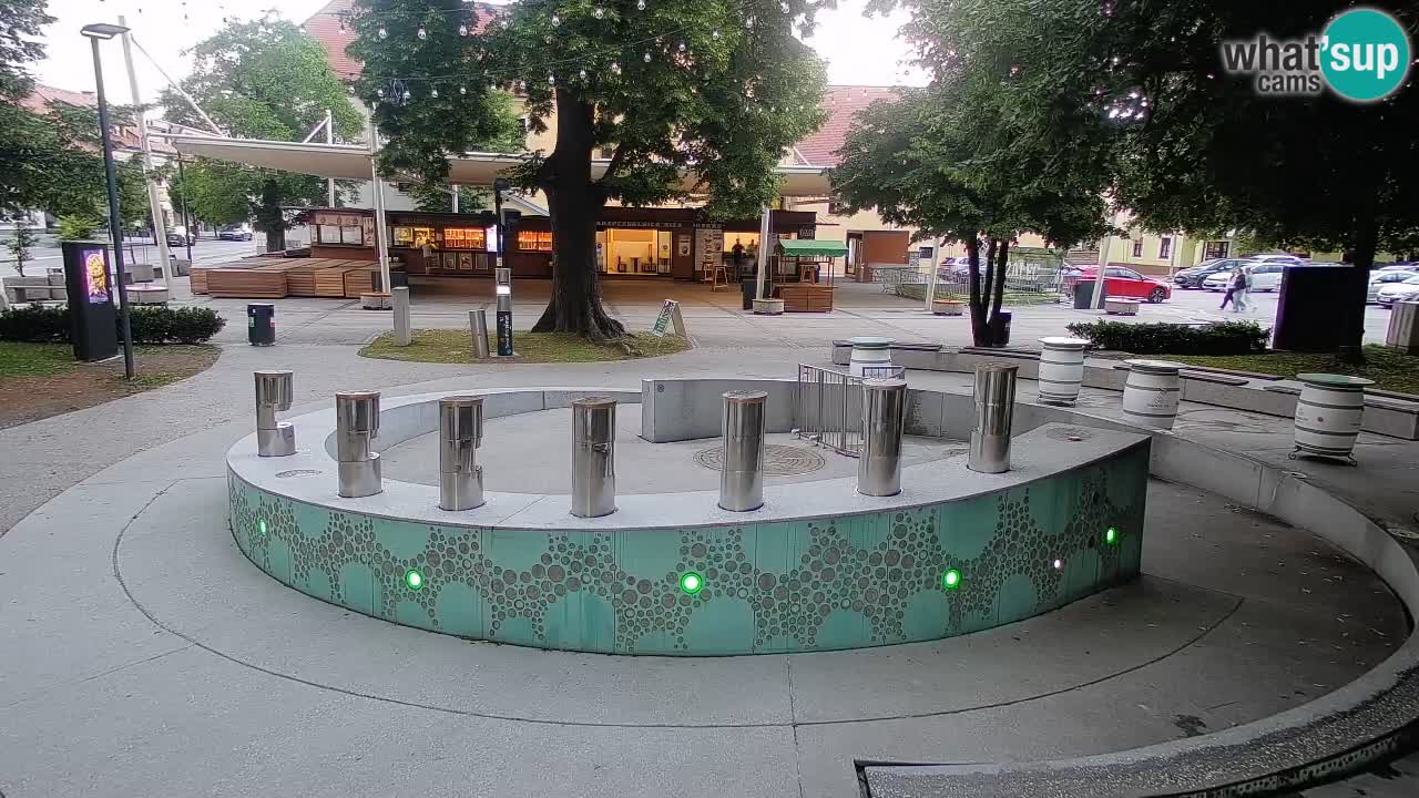Fontaine à bière LIVE webcam – Or vert – Žalec
