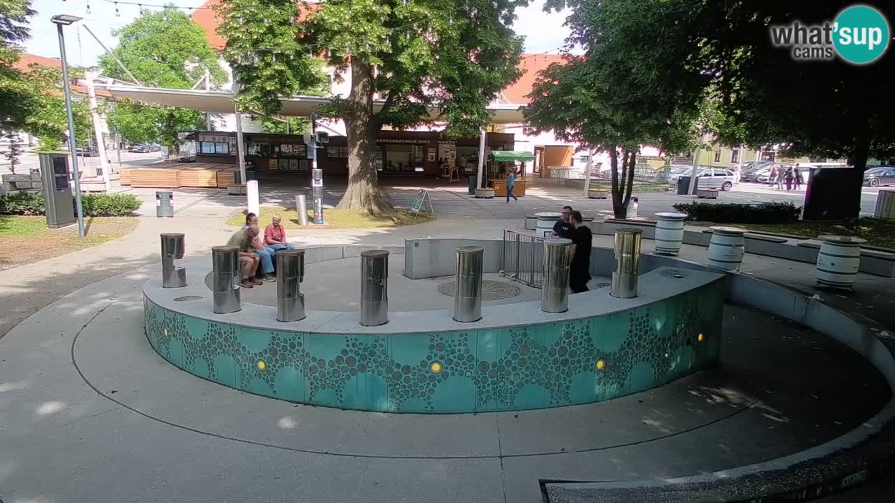 Fontana di birra Webcam – Oro verde – Žalec