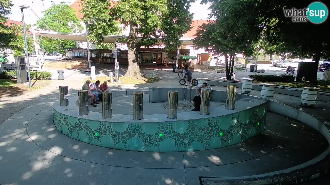 Web kamera Fontana piva – Zeleno zlato – Žalec