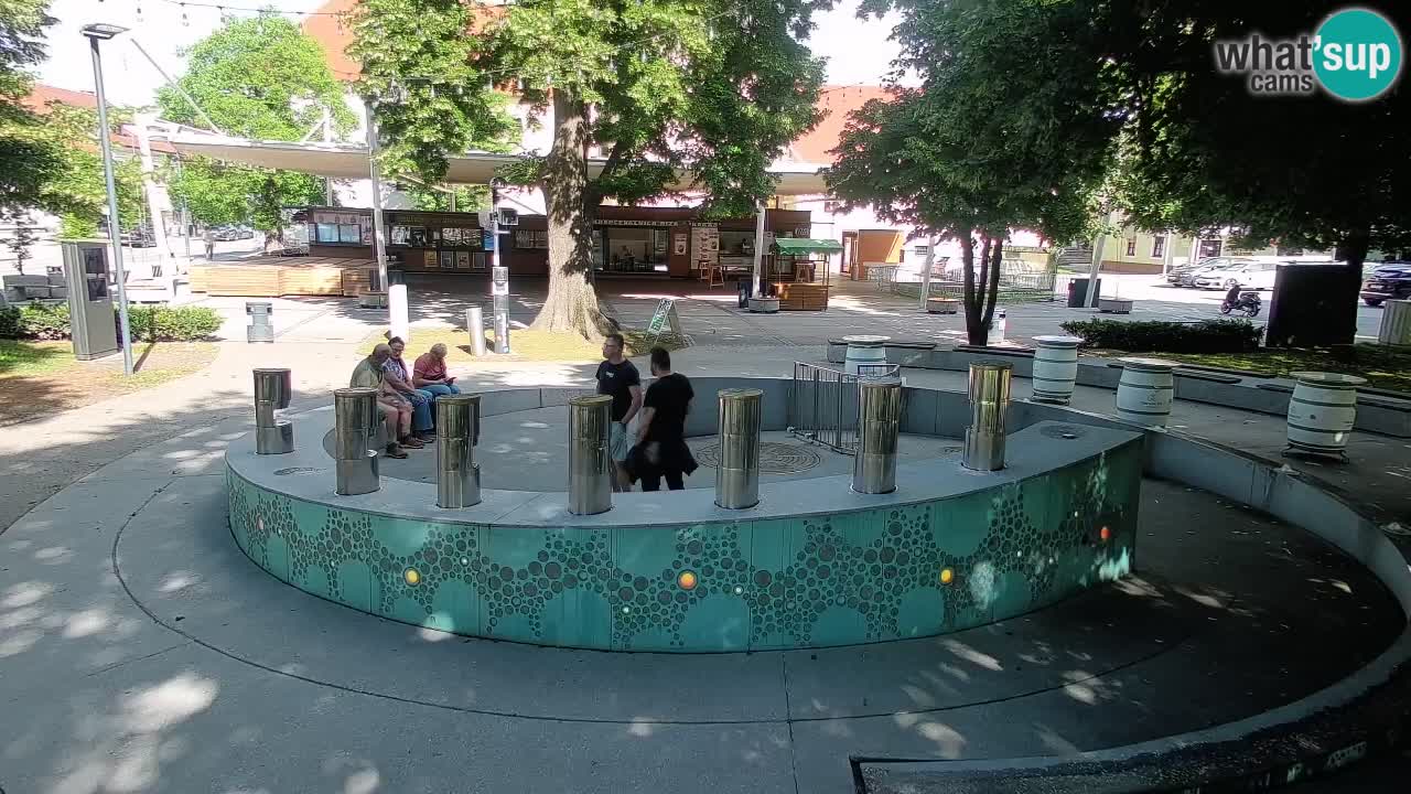 Fontana di birra Webcam – Oro verde – Žalec