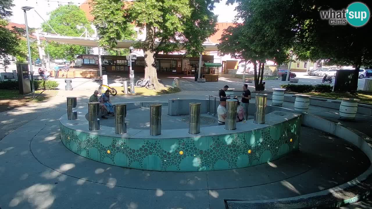 Fontana di birra Webcam – Oro verde – Žalec