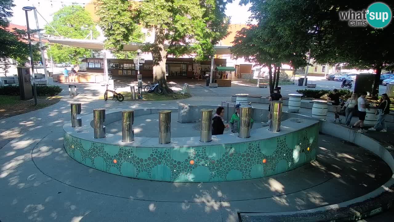 Spletna kamera Fontana Piv – Zeleno zlato Žalec