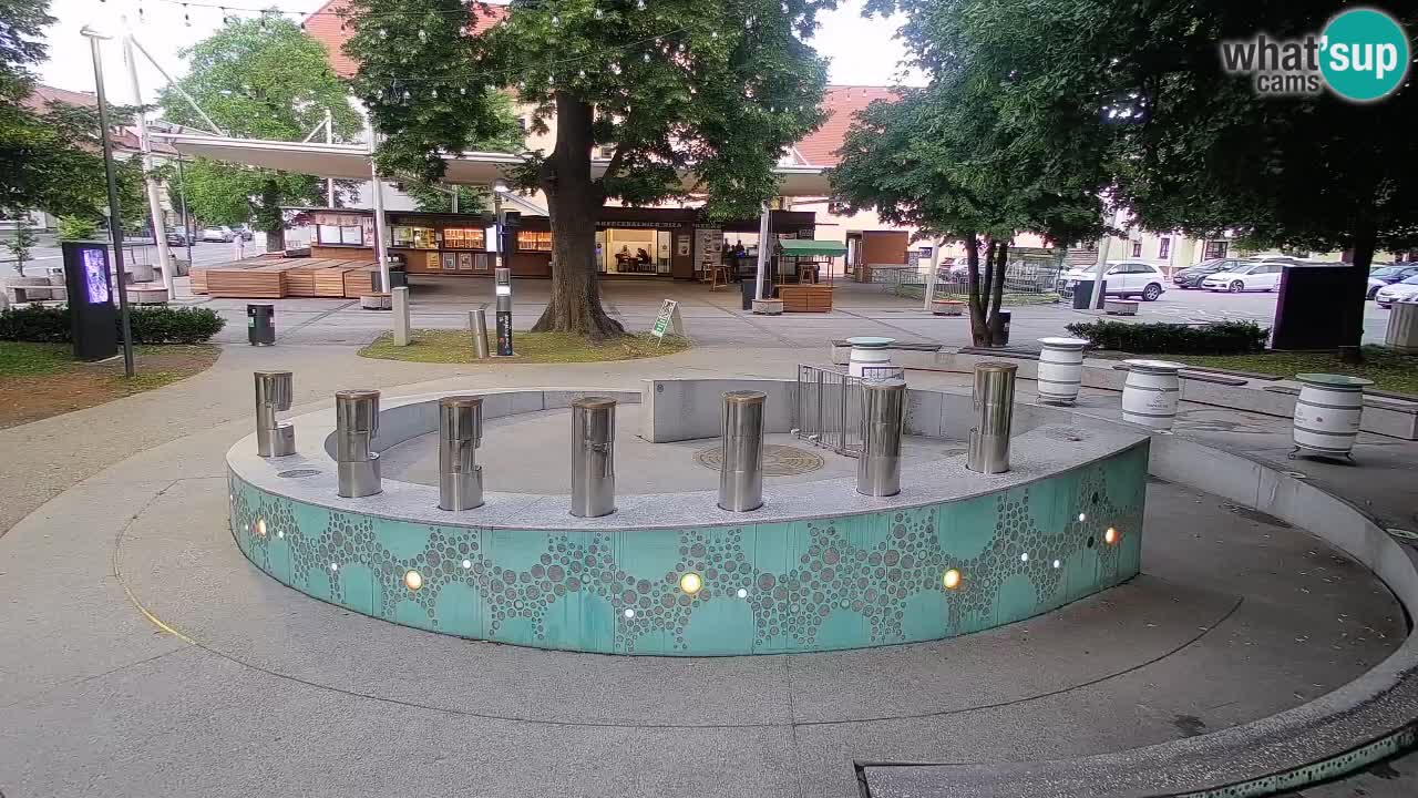 Fontaine à bière LIVE webcam – Or vert – Žalec