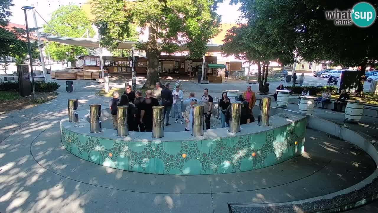 Web kamera Fontana piva – Zeleno zlato – Žalec