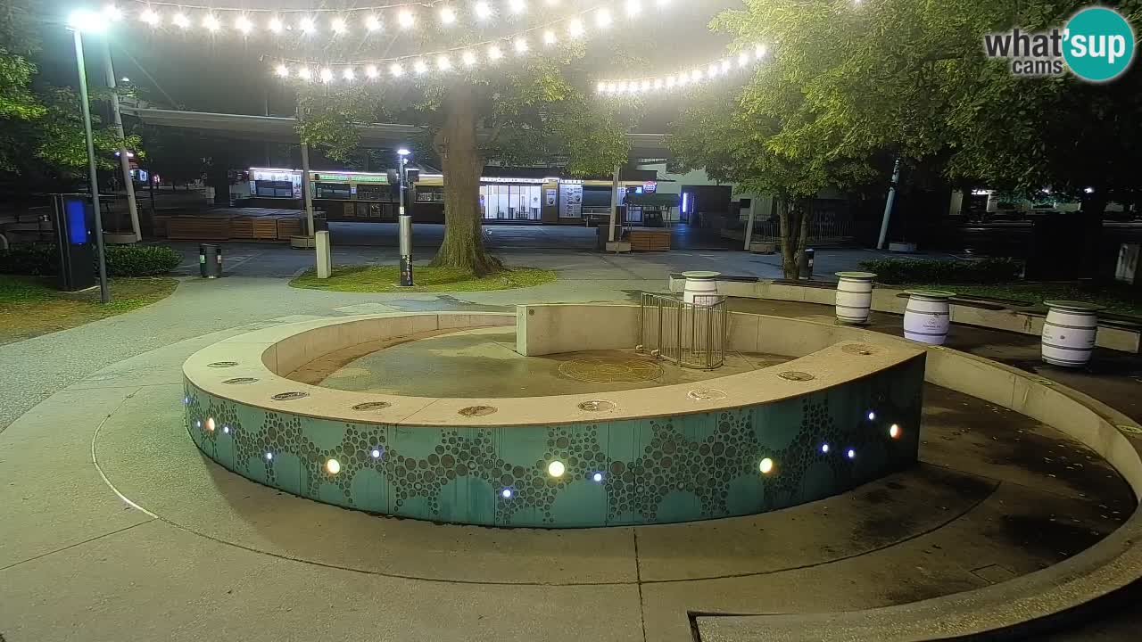 Camera en vivo Fuente de cerveza – Oro verde – Žalec
