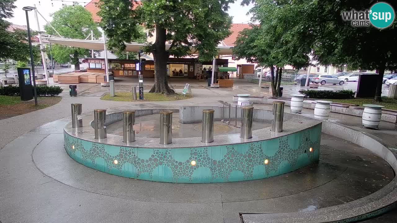 Fontana di birra Webcam – Oro verde – Žalec